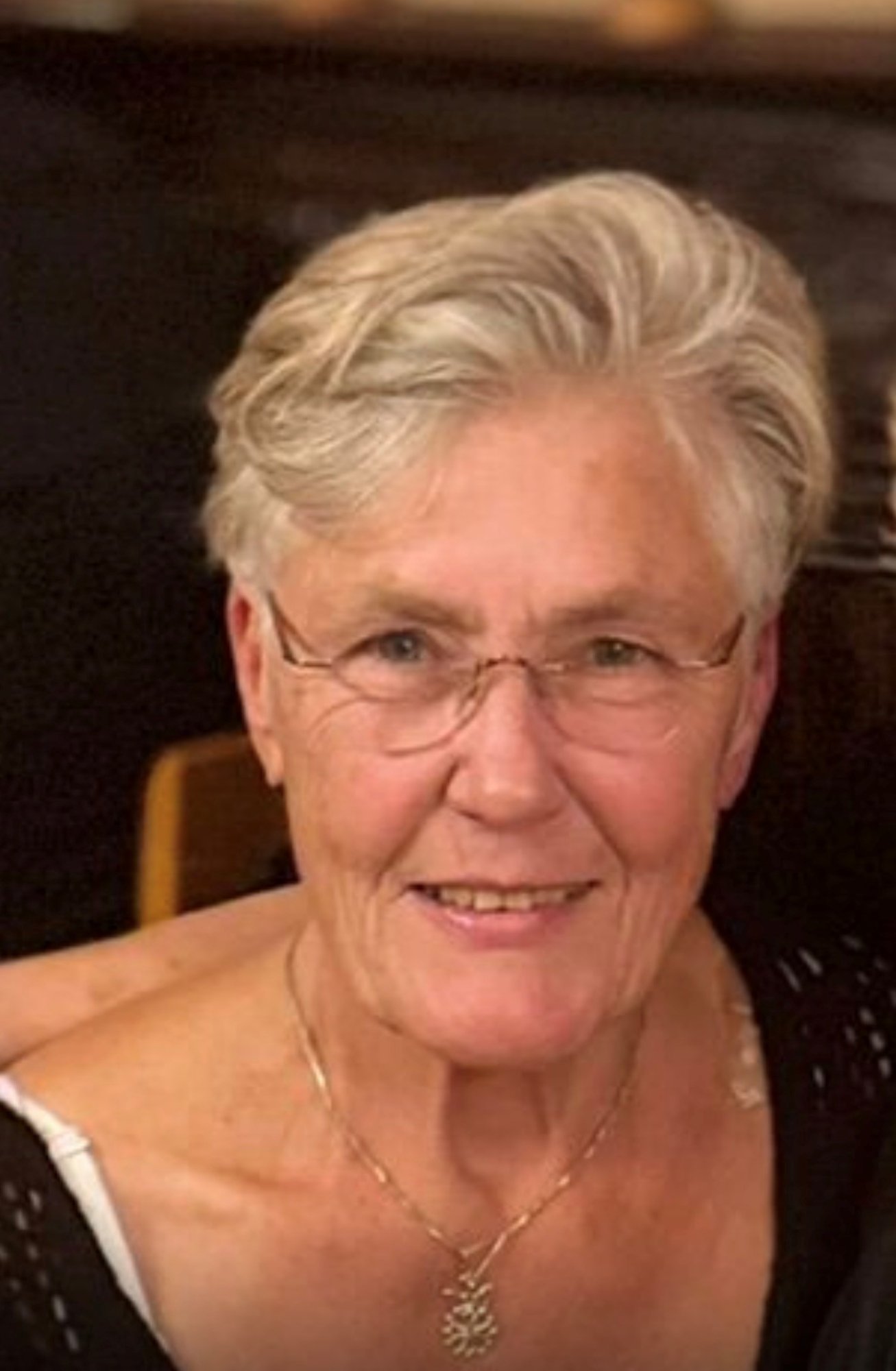 H.E. Dame H.J. Wijers, DGCLJ